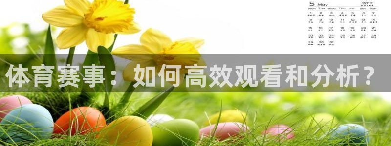 体育赛事：如何高效观看和分析？