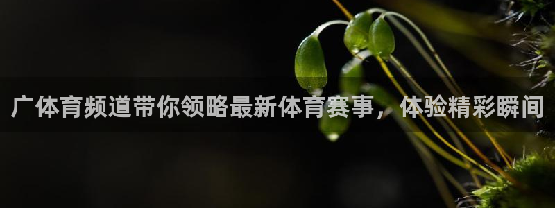 广体育频道带你领略最新体育赛事，体验精彩瞬间