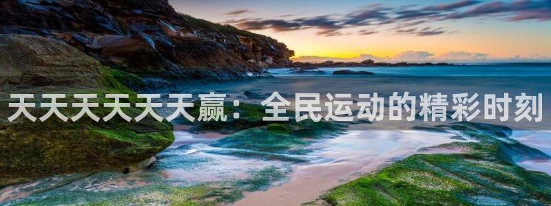 天天天天天天赢：全民运动的精彩时刻