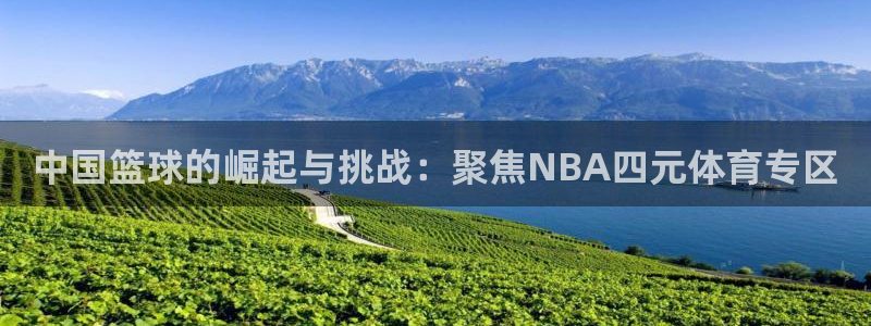 中国篮球的崛起与挑战：聚焦NBA四元体育专区