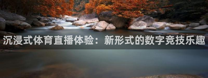 沉浸式体育直播体验：新形式的数字竞技乐趣