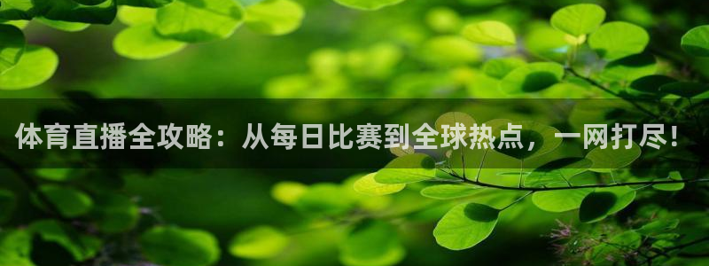 体育直播全攻略：从每日比赛到全球热点，一网打尽！
