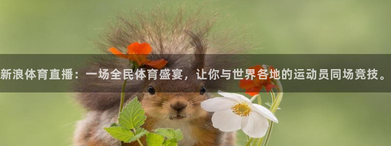 新浪体育直播：一场全民体育盛宴，让你与世界各地的运动员同场竞技。