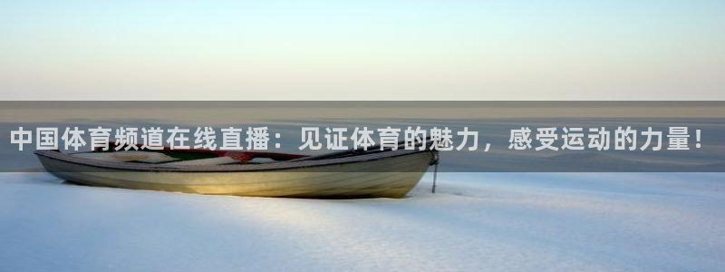 中国体育频道在线直播：见证体育的魅力，感受运动的力量！