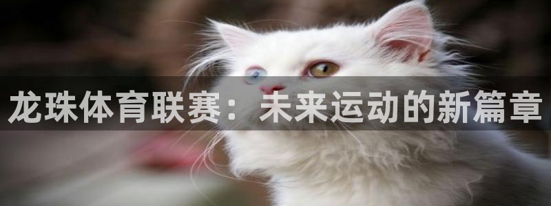龙珠体育联赛：未来运动的新篇章