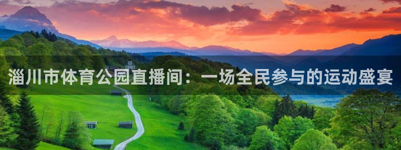 淄川市体育公园直播间：一场全民参与的运动盛宴