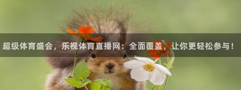 超级体育盛会，乐视体育直播网：全面覆盖，让你更轻松参与！
