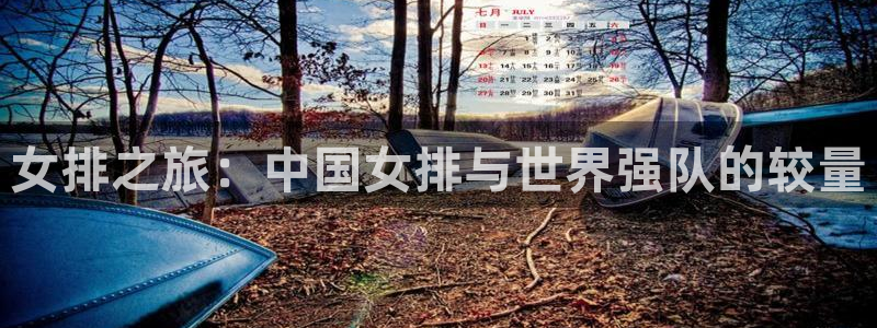 女排之旅：中国女排与世界强队的较量