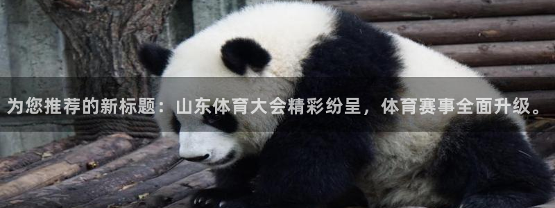 为您推荐的新标题：山东体育大会精彩纷呈，体育赛事全面升级。